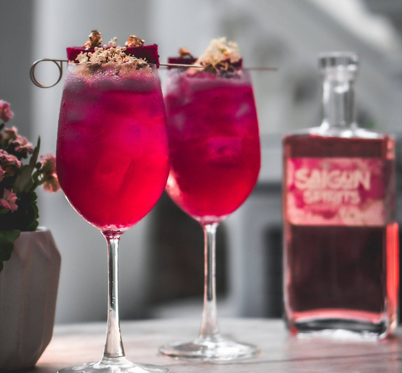 Miss Vietnam cocktail recipe pink dragonfruit gin in wine glasses Saigon Spirits Vietnam craft spirits Southeast Asia